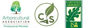 Arbor Cultural Accreditations