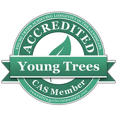 Arboricultural Young Tree Management Specialist