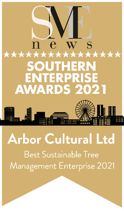 SME News Southern Enterprise Awards 2021