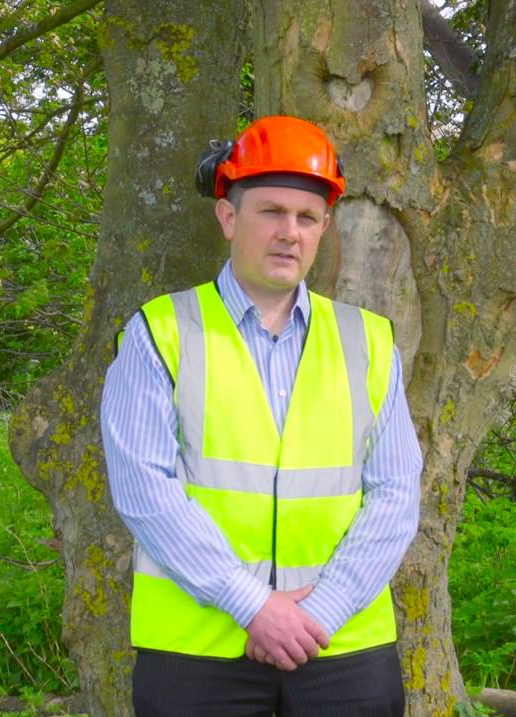 Tree Health and Safety Reports