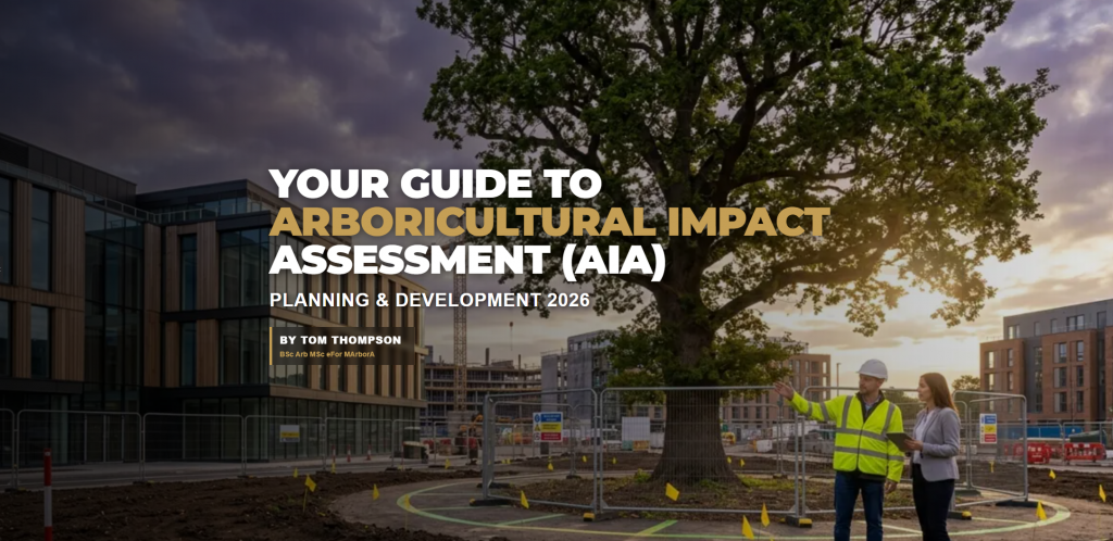 Arboricultural Impact Assessment