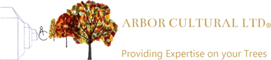 Arbor Cultural Logo