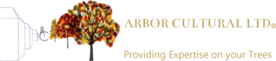 Arbor Cultural